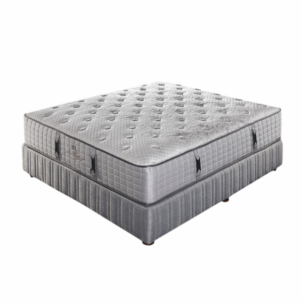 La Fayette Luxury  - DSX